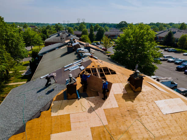 Best Residential Roof Replacement  in Ogden, KS