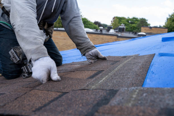 Best Best Roofing Contractors  in Ogden, KS