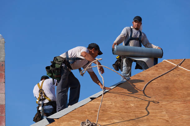 Best Storm Damage Roof Repair  in Ogden, KS